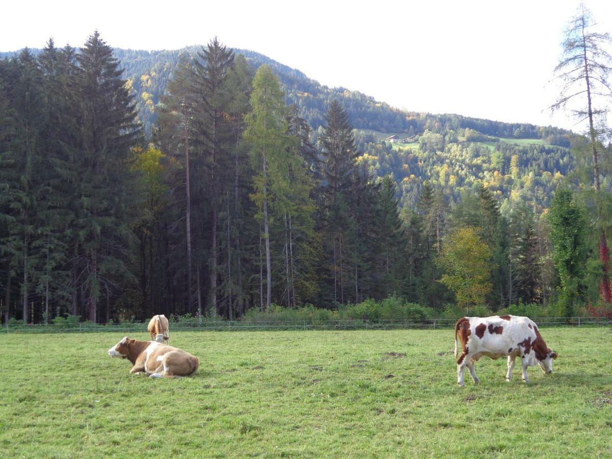 Monika Unterluggauer Farm stay *